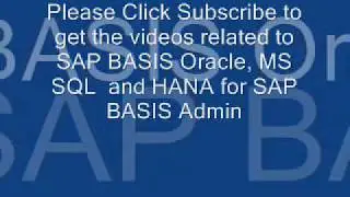 SAP BASIS Responsibilities