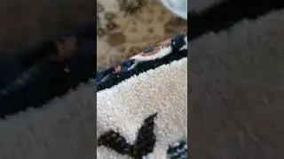 кринж...
