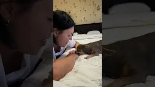 Пожружка Женя 🥰 У них особливі відносини. Льончик ні з ким більше себе так не поводить 🥰