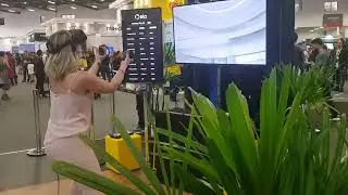 Elo Game VR   Copia