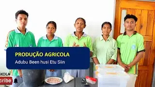 Episódio 469, Produção Agrícola, Matéria Geral & PAP, aula 3, Adubu Been husi Etu Siin Aluna Abeli