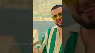 Flamur & Ilir - Ju besove