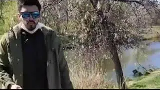 Кто хочет такую собаку?