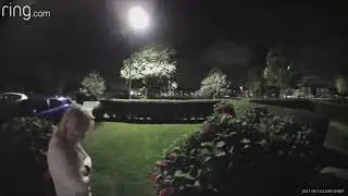 Drunk Lady With a Determined Recovery Falls in a Bush