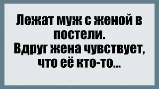 Лежат муж с женой в постели - Смешные анекдоты