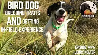 Podcast Short Ep 94- Bird Dog Breeding Traits & Getting In-Field Experience with Jerry Kolter