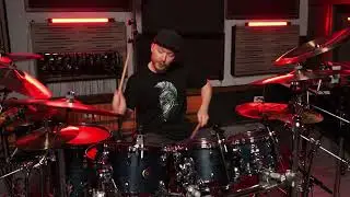 Matt Geröly - Wasp Nest