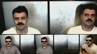 Танец маленьких утят на губной гармошке