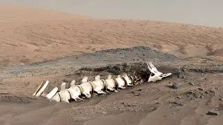 Images of Mars taken by the Curiosity rover