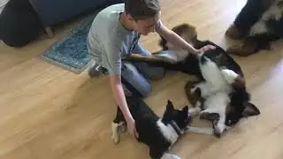 18/08/18 Andi and Luna at the lake cabin