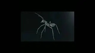 Концепт подводного муравья Hydrophylla birmana (Dlussky, 1999)