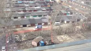 Спилили тополя