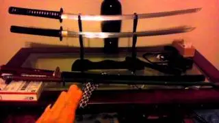 VIDEO0513