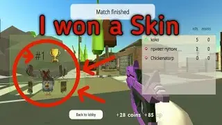 I won a new skin 🙀|chicken gun|