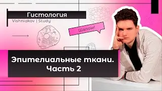 Гистология | ЭПИТЕЛИАЛЬНЫЕ ТКАНИ. Часть 2