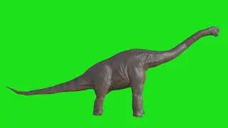 Seamless Dinosaur Green Screen Loop | License Free | Motion Effect 