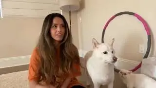 Rae Hanging Out With Sock, Mika and Miyoung’s Chicken i Mean Dog Nabi | Cooking Stream