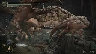 where'd that crab come from?