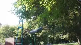 stucker inverso