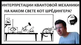 Интерпретации квантовой механики: копенгагенская против многомировой | Кот Шрёдингера и друг Вигнера