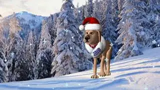 New year's footage.