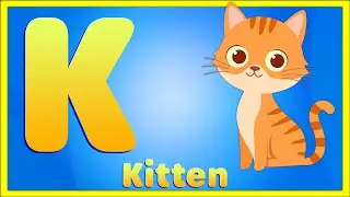 Letter K | Kitten, Key, Kick, Kite, Kangaroo - Learn the Alphabet Letter K