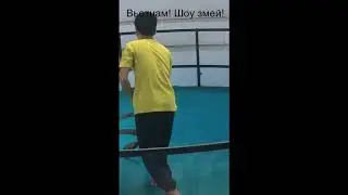 Вьетнам, ШОУ змей! Это просто был ШОК!