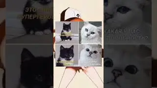 Мемный мем