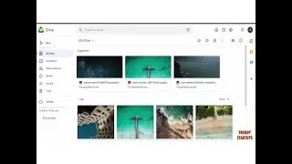 How to Delete any files from Google Drive | Remove files from google drive | Delete Business files