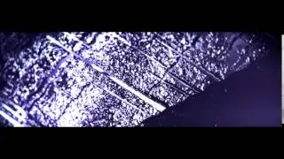 AEC month 14 [Entry] | Traexa