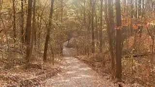 У Харків прийшли дощі та золота осінь. Нова велодоріжка у лісопарку.