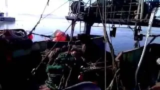 Сивуч выбрасывает собаку за борт.