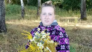 Традиция. Едем на шашлык в лес.