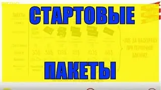 Начать бизнес в Bepic. Стартовые пакеты Elev8 и Acceler8