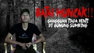 Cerita Mistis - Isyarat Dari Penunggu Gunung Sumbing Hingga Gagal Muncak