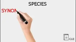 Species Pronunciation | Species Definition | Species Synonyms | Species Antonyms #Short #Species