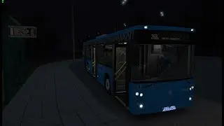 ОМСИ 2 - Автобус № 268к до метро (2)