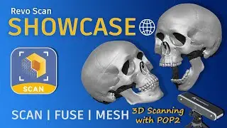 Scan | Fuse | Mesh | Skull  - Revopoint POP2 Showcase