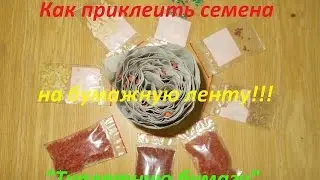 Технология нанесения семян на бумажную ленту,