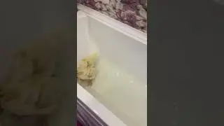 Степашка и утки