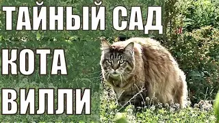 WILLY THE CAT and THE SECRET GARDEN