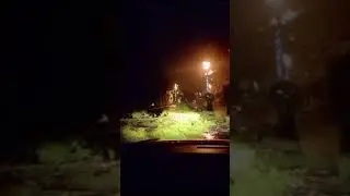Arvore quase caiu em cima do carro, mas consegui parar a tempo.