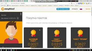 Инструкция по использованию личного кабинета easy-bizzi