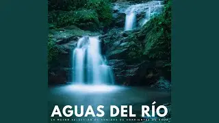 Alma Relajada