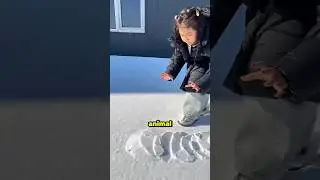 😱 ¡Un Misterioso Animal Está Rompiendo la Tierra! ¿Qué Hay Debajo? 🌍🐾 