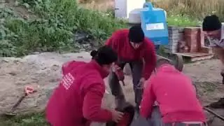 Baku 2019 Formula 1 😂😂