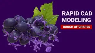 Rapid organic CAD modeling and prototyping: Bunch of grapes