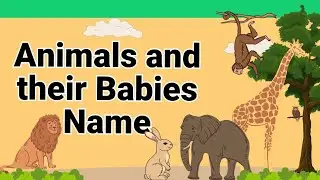 Animals and their babies name in English with  image | Animals babies English name #babies#animals
