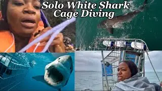 White Shark Diving In South Africa | Zipling on The Longest Zipline over The Ocean |