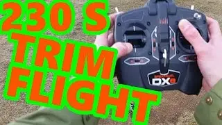 Blade 230 S Trim Flight
